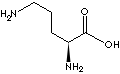 L-ORNITHINE