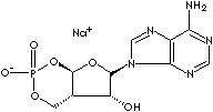 ADENOSINE-3',5'-CYCLIC MONOPHOSPHATE, SODIUM SALT