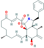 CYTOCHALASIN A