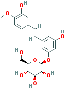 RHAPONTIN