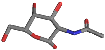 beta-D-N-ACETYLGALACTOSAMINE