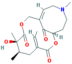 SENKIRKINE