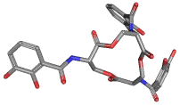 ENTEROBACTIN