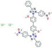 NITROBLUE TETRAZOLIUM
