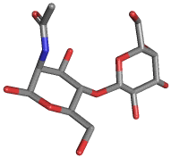 N-ACETYLLACTOSAMINE