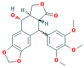PODOFILOX