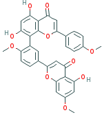 SCIADOPITYSIN