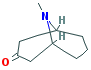 PSEUDOPELLETIERINE
