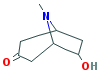 6-HYDROXYTROPINONE