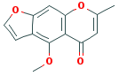 VISNAGIN