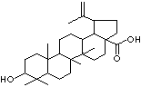 BETULINIC ACID