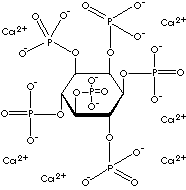 CALCIUM PHYTATE