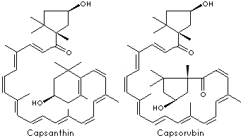 PAPRIKA OLEORESIN