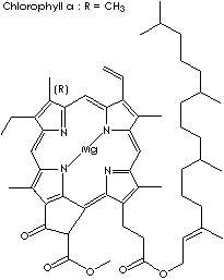 Chlorophyll a