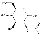 N-ACETYL-GLUCOSAMINE