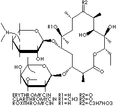 ERYTHROMYCIN