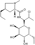 CLINDAMYCIN