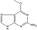 O6-METHYLGUANINE