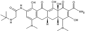 TIGECYCLINE