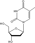 THYMIDINE