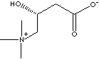 L-CARNITINE