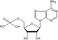 ADENOSINE-5'-MONOPHOSPHATE