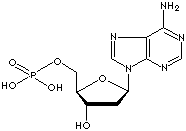 2'-DEOXYADENOSINE 5'-PHOSPHATE