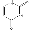 URACIL