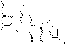 CEFPODOXIME