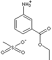 METACAINE