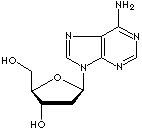 2'-DEOXYADENOSINE