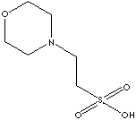2-MORPHOLINO)ETHANESULFONIC ACID