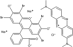 WRIGHT'S STAIN