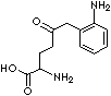 KYNURENINE