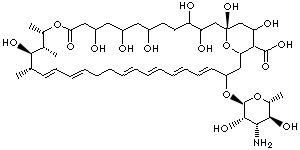 NYSTATIN