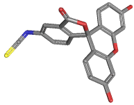 FLUORESCEIN-5-ISOTHIOCYANATE