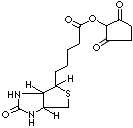 N-HYDROXYSUCCINIMIDOBIOTIN